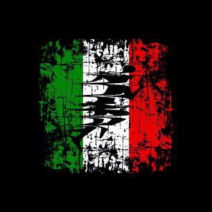 CAMISETA FITNESS ITALIA RUNNER GIMNASIO PESO CRUZADO