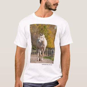 Camiseta Fitzroy - NNEP Ottawa, ENCENDIDO