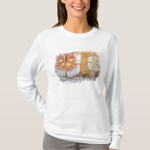 Camiseta Fiyi, arte mural.