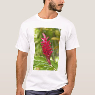 Camiseta Fiyi, isla de Viti Levu. Flor.