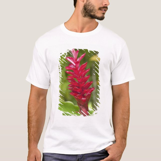 Camiseta Fiyi, isla de Viti Levu. Flor. (Anverso)