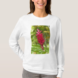 Camiseta Fiyi, isla Viti Levu.Flor.