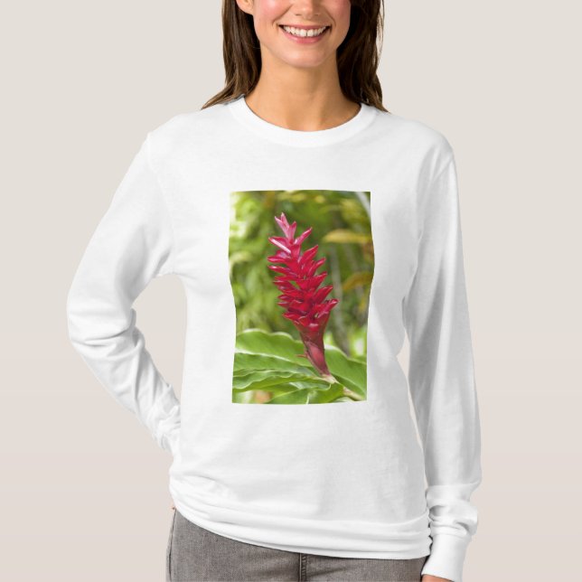 Camiseta Fiyi, isla Viti Levu.Flor. (Anverso)