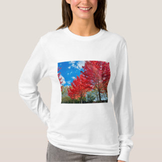 Camiseta Flagrantes hojas de árboles rojos en otoño