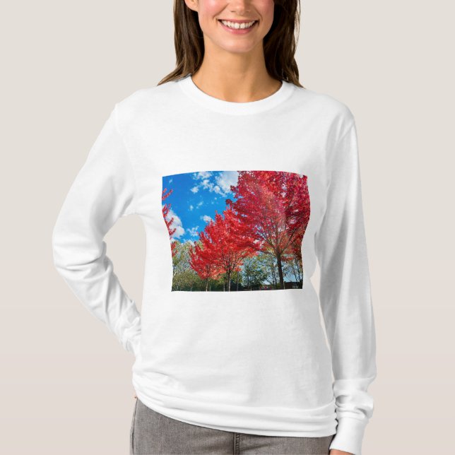 Camiseta Flagrantes hojas de árboles rojos en otoño (Anverso)