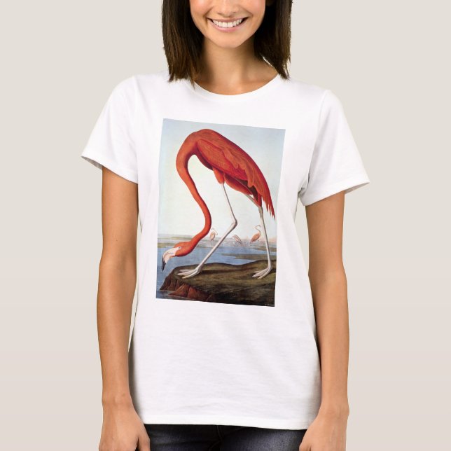 Camiseta Flamenco americano (Anverso)