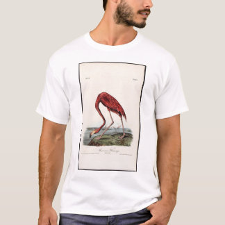 Camiseta Flamenco americano