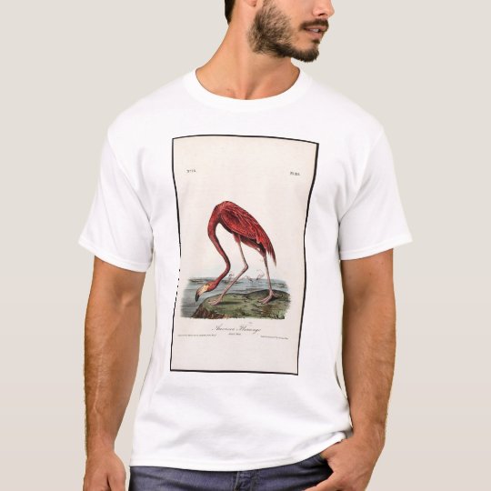Camiseta Flamenco americano