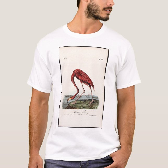 Camiseta Flamenco americano (Anverso)