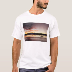 Camiseta Flamenco Chileno