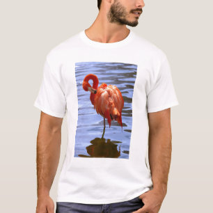 Camiseta Flamenco en una pierna en el agua