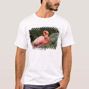 Camiseta Flamenco rosado
