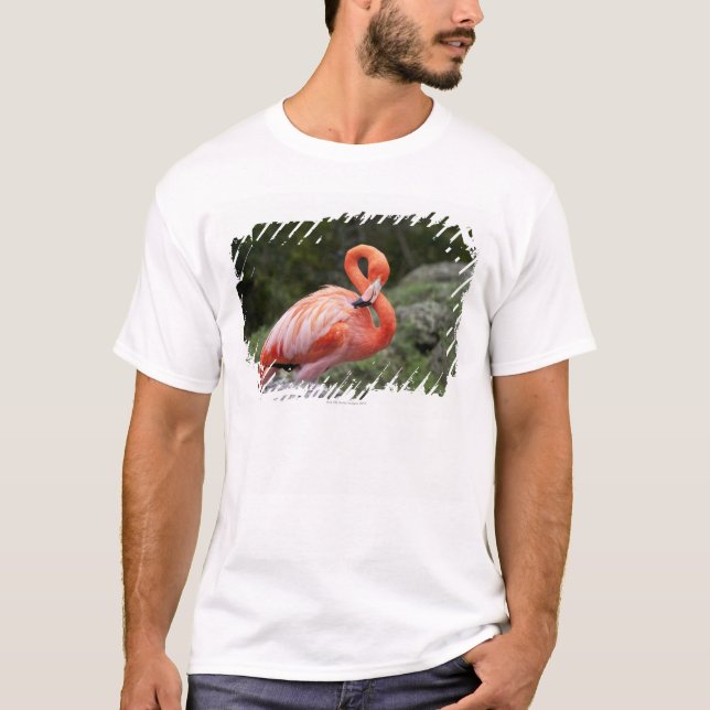Camiseta Flamenco rosado (Anverso)