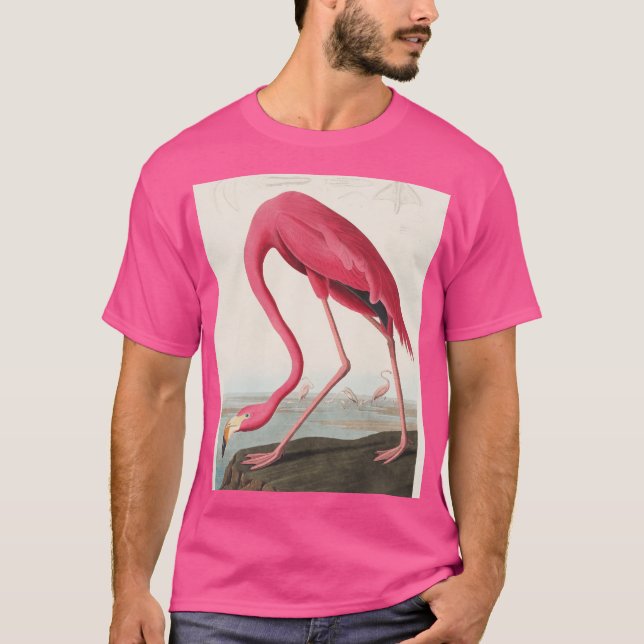 Camiseta Flamingo Audubon Rosa Vintage (Anverso)
