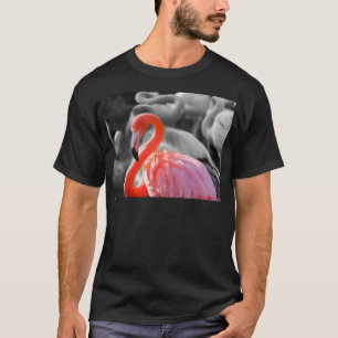 Camiseta Flamingo Bird Photography