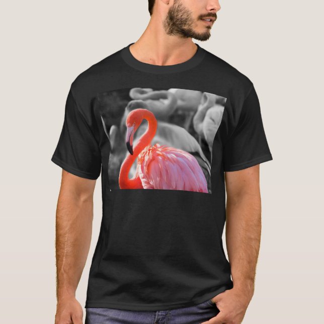 Camiseta Flamingo Bird Photography (Anverso)