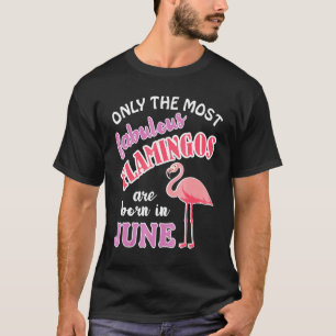 Camiseta Flamingo Cumpleaños Ropa Flamingo Rosa