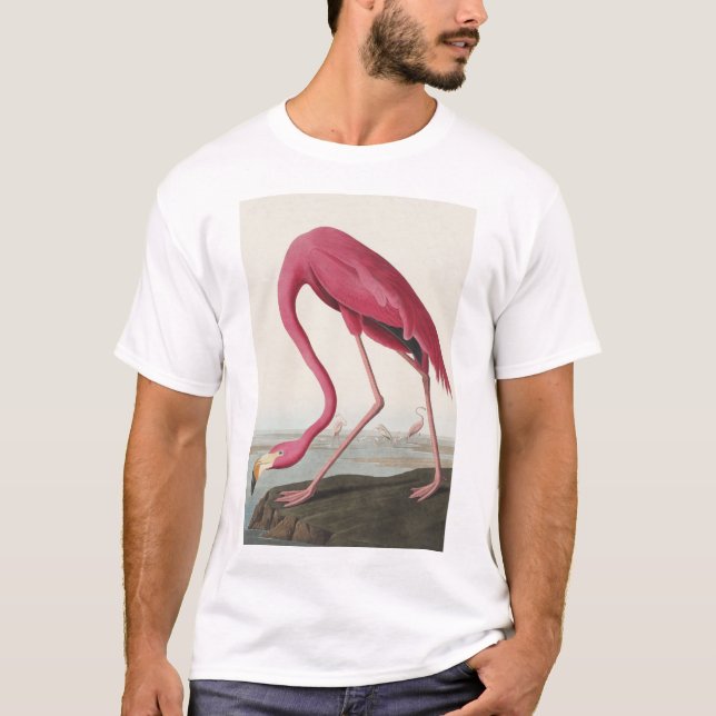 Camiseta Flamingo rosa de Birds of America (Anverso)