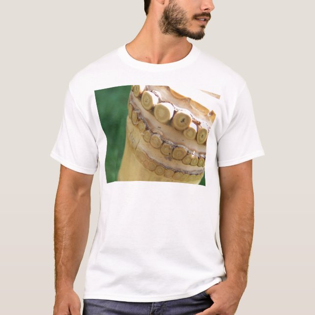 Camiseta Flauta de bambú (Anverso)