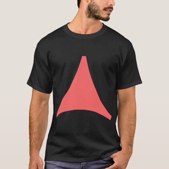 Camiseta Flecha de tres lados (Anverso)