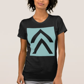 Camiseta Flecha doble