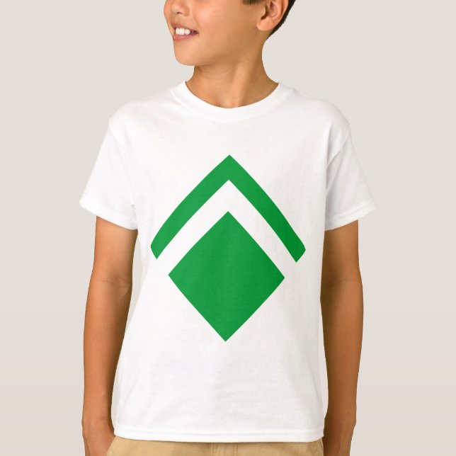 Camiseta Flecha geométrica 01 (Anverso)
