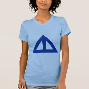 Camiseta Flecha triangular dividida