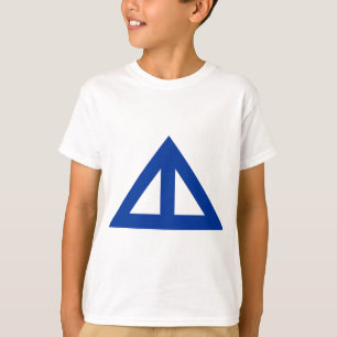 Camiseta Flecha triangular dividida