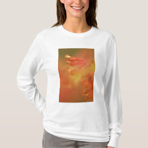 Camiseta flor abstracta de castaño de indias de Savannah Ge