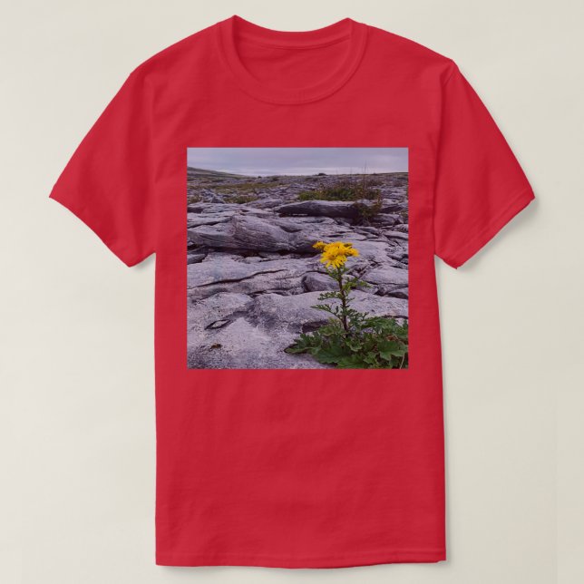 Camiseta Flor amarilla crece a través de las rocas (Diseño del anverso)