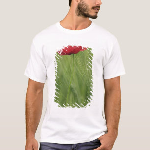 Camiseta Flor de adormidera roja entre los cultivos de trig