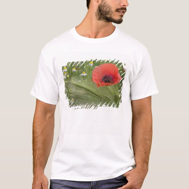 Camiseta Flor de adormidera roja, Toscana, Italia (Anverso)