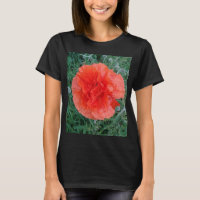 Flor de amapola doble silvestre