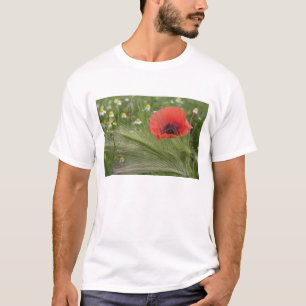 Camiseta Flor de amapola roja, Toscana, Italia
