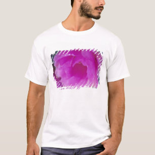 Camiseta Flor de cactus erizo rosa (Echinocereus