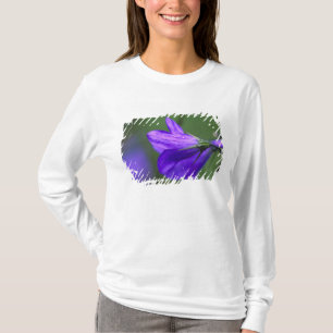 Camiseta Flor de campanilla azul en Independence Pass en