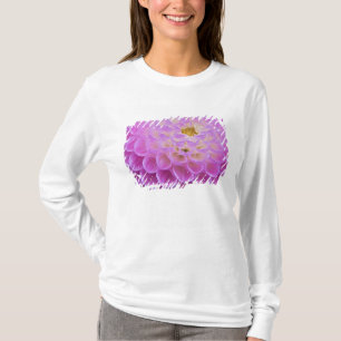 Camiseta Flor de crisantemo decorando tumba en