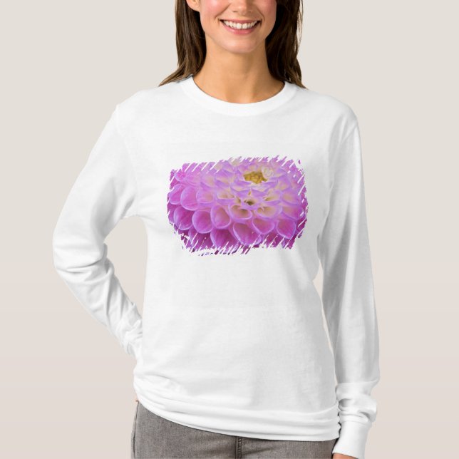 Camiseta Flor de crisantemo decorando tumba en (Anverso)