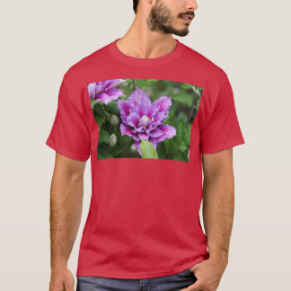 Camiseta Flor de escalada doble clematis púrpura y rosa 7