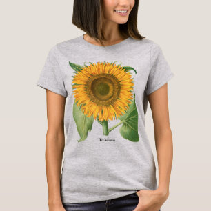 Camiseta Flor de girasol vintage por Basilius Besler