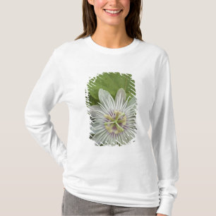 Camiseta Flor de la Pasión de Galápagos Passiflora foetida