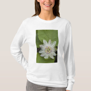 Camiseta Flor de la Pasión de Galápagos Passiflora foetida