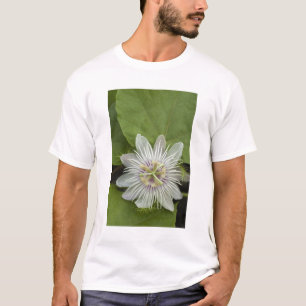 Camiseta Flor de la Pasión de Galápagos Passiflora foetida