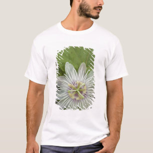 Camiseta Flor de la Pasión de Galápagos Passiflora foetida