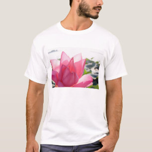 Camiseta flor de loto [Nelumbo speciosum] en plena