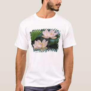 Camiseta Flor de Lotus en flor, China