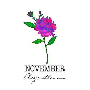 Camiseta Flor de Nacimiento Noviembre Crisantemo