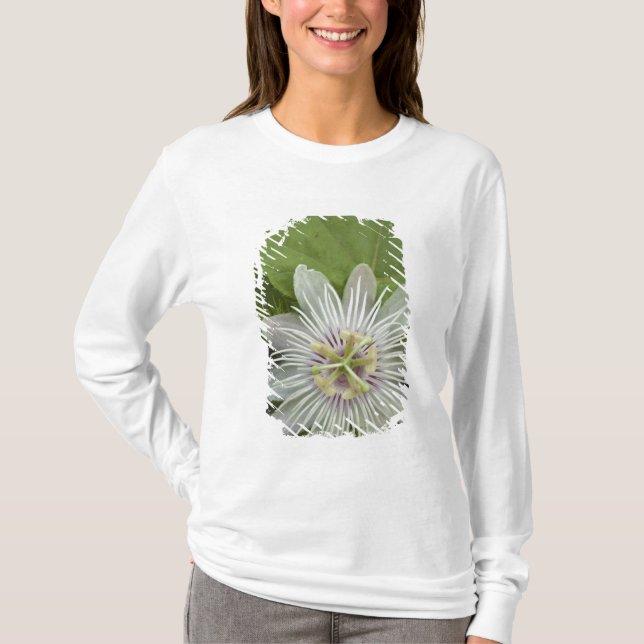 Camiseta Flor de pasión Galápagos Passiflora foetis (Anverso)