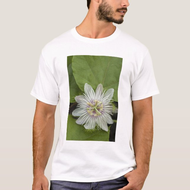 Camiseta Flor de pasión Galápagos Passiflora foetis (Anverso)