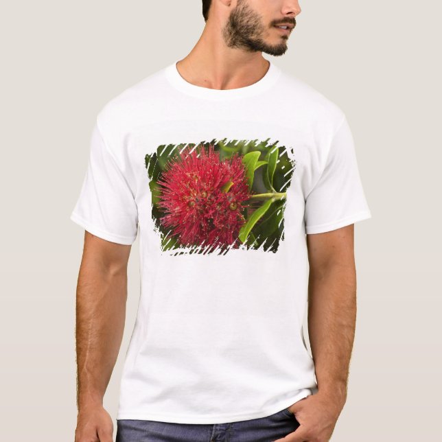 Camiseta Flor de Pohutukawa, Dunedin (Anverso)